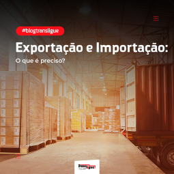 Transportadora Exportação e Importação: O que é preciso?